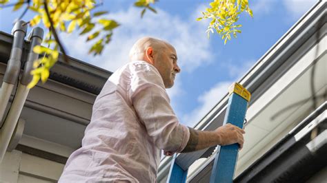 building and pest inspection geelong|bloom inspections.
